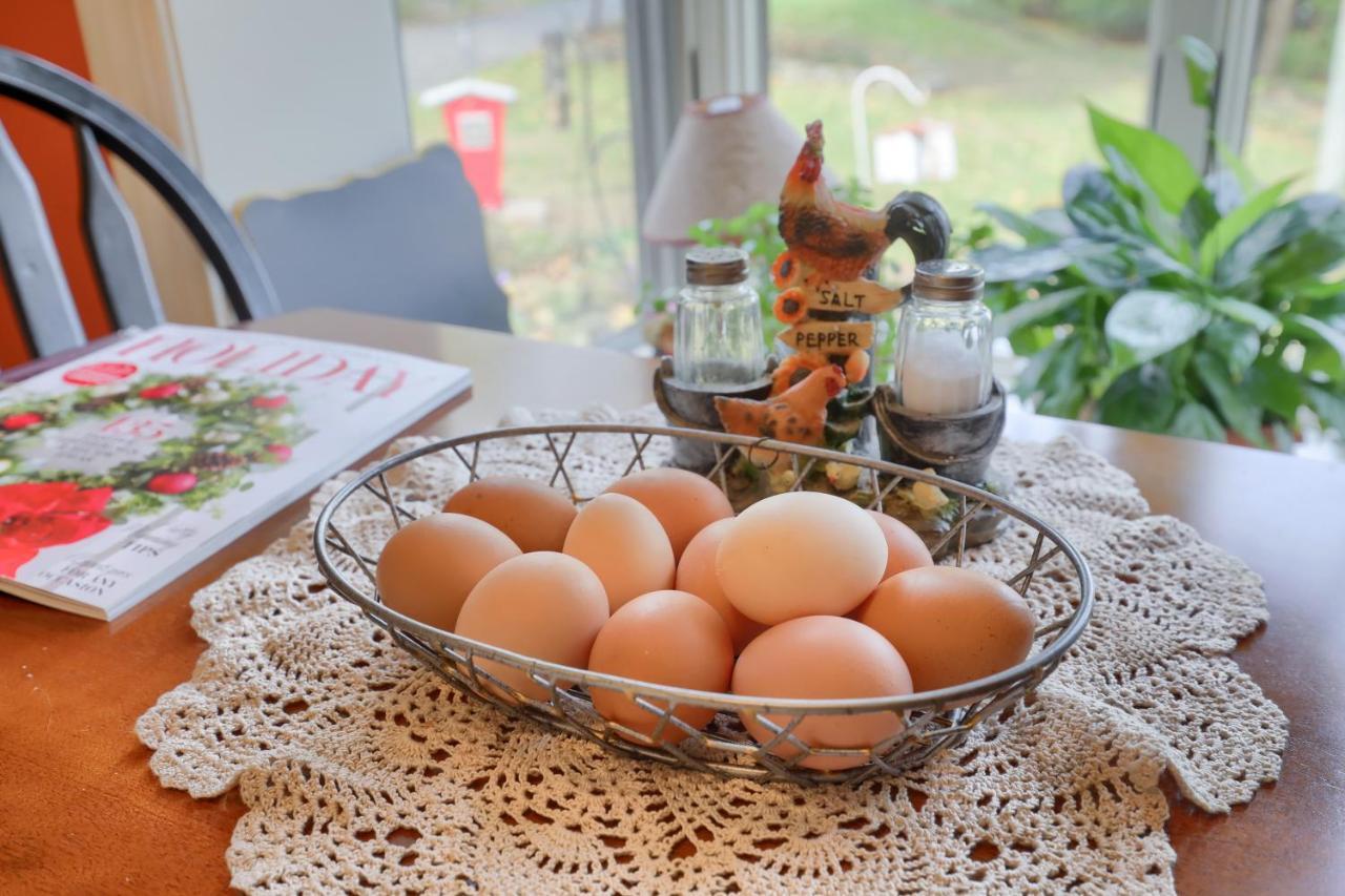 Hammer Creek Hideaway B&B Lititz Dış mekan fotoğraf